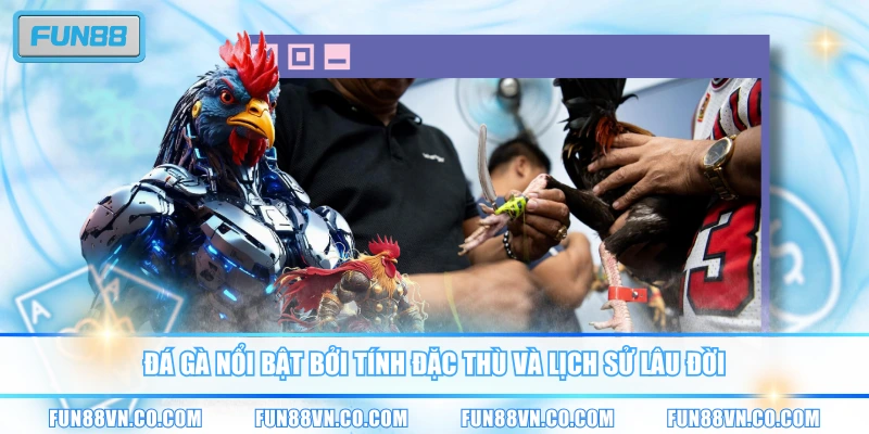 Đá gà nổi bật bởi tính đặc thù và lịch sử lâu đời
